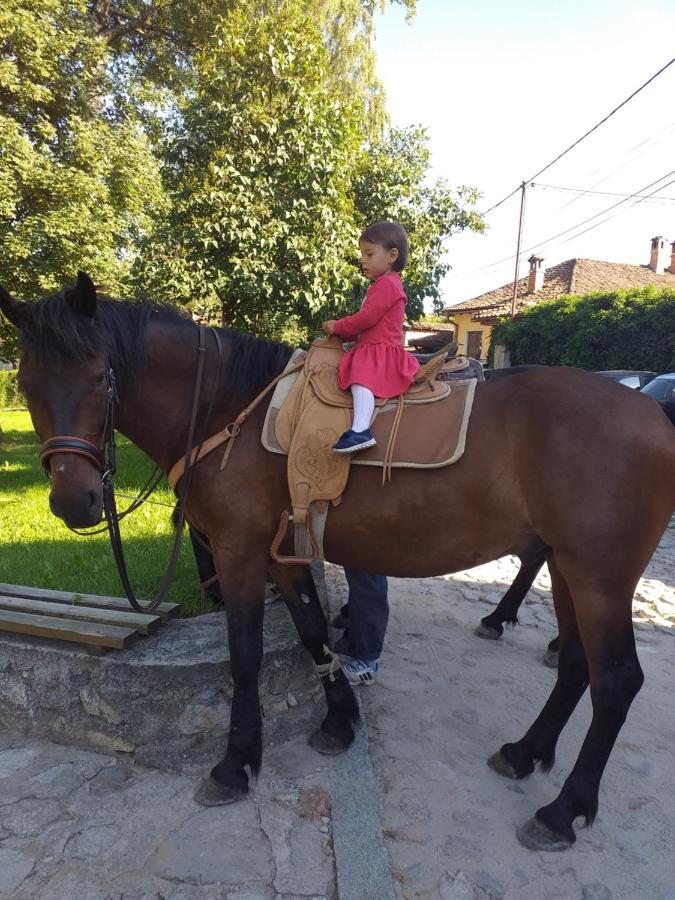 Стаи За Гости Дончо Войвода Koprivshtitsa Buitenkant foto