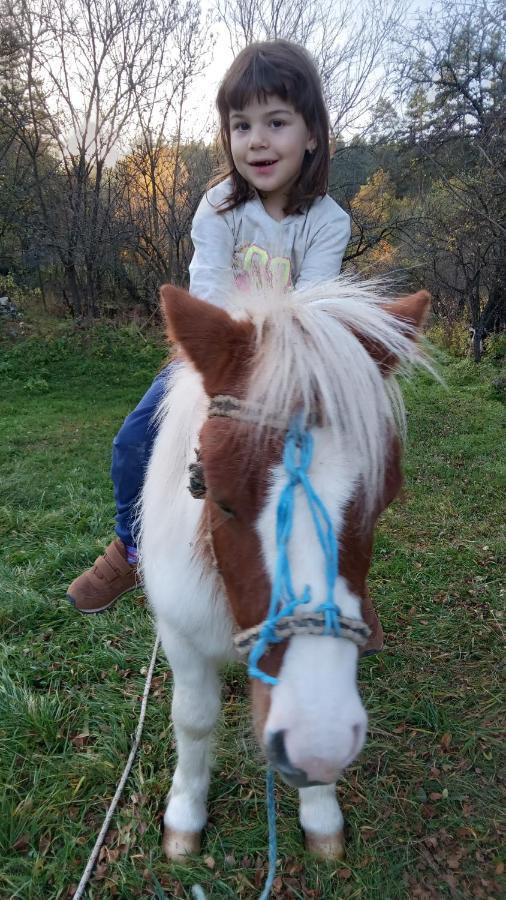 Стаи За Гости Дончо Войвода Koprivshtitsa Buitenkant foto